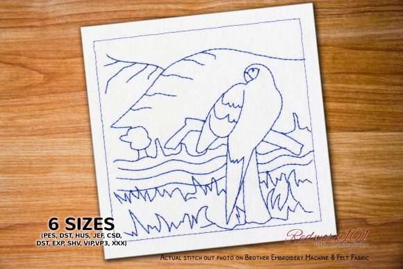 Colorful Scarlet Macaw Redwork